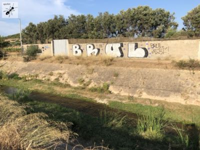 Bild-Sardinien-Streetart-Iglesiente-25